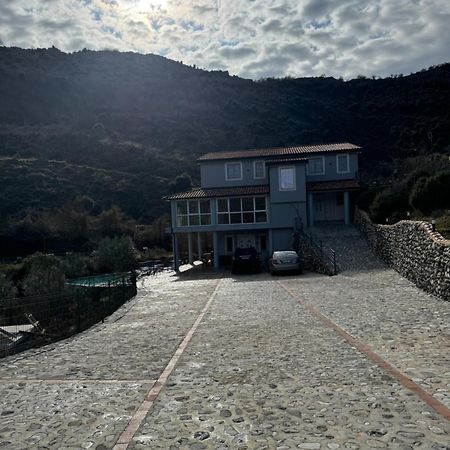 Qyteza Guest House & Camping Shkodër エクステリア 写真