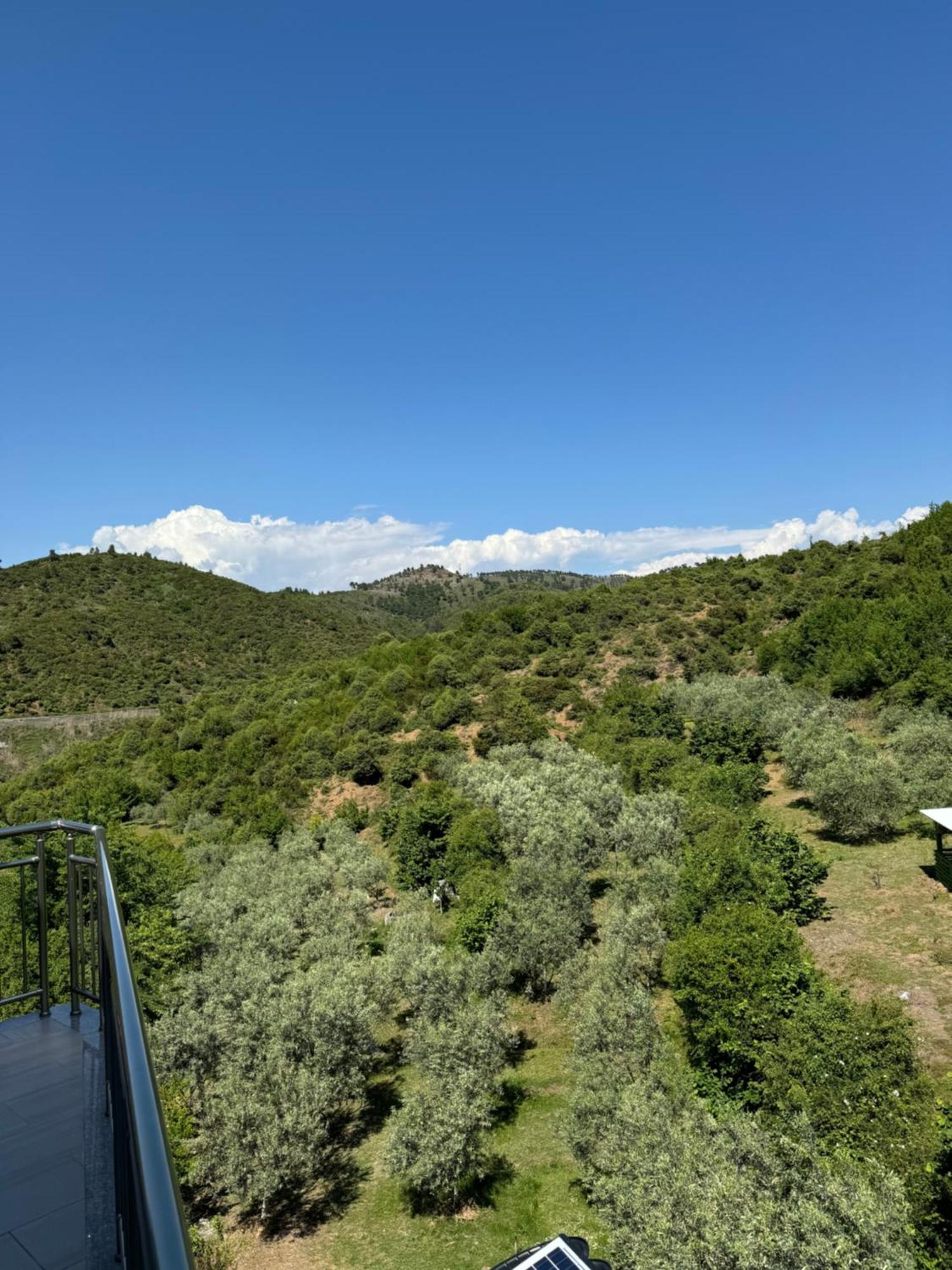 Qyteza Guest House & Camping Shkodër エクステリア 写真