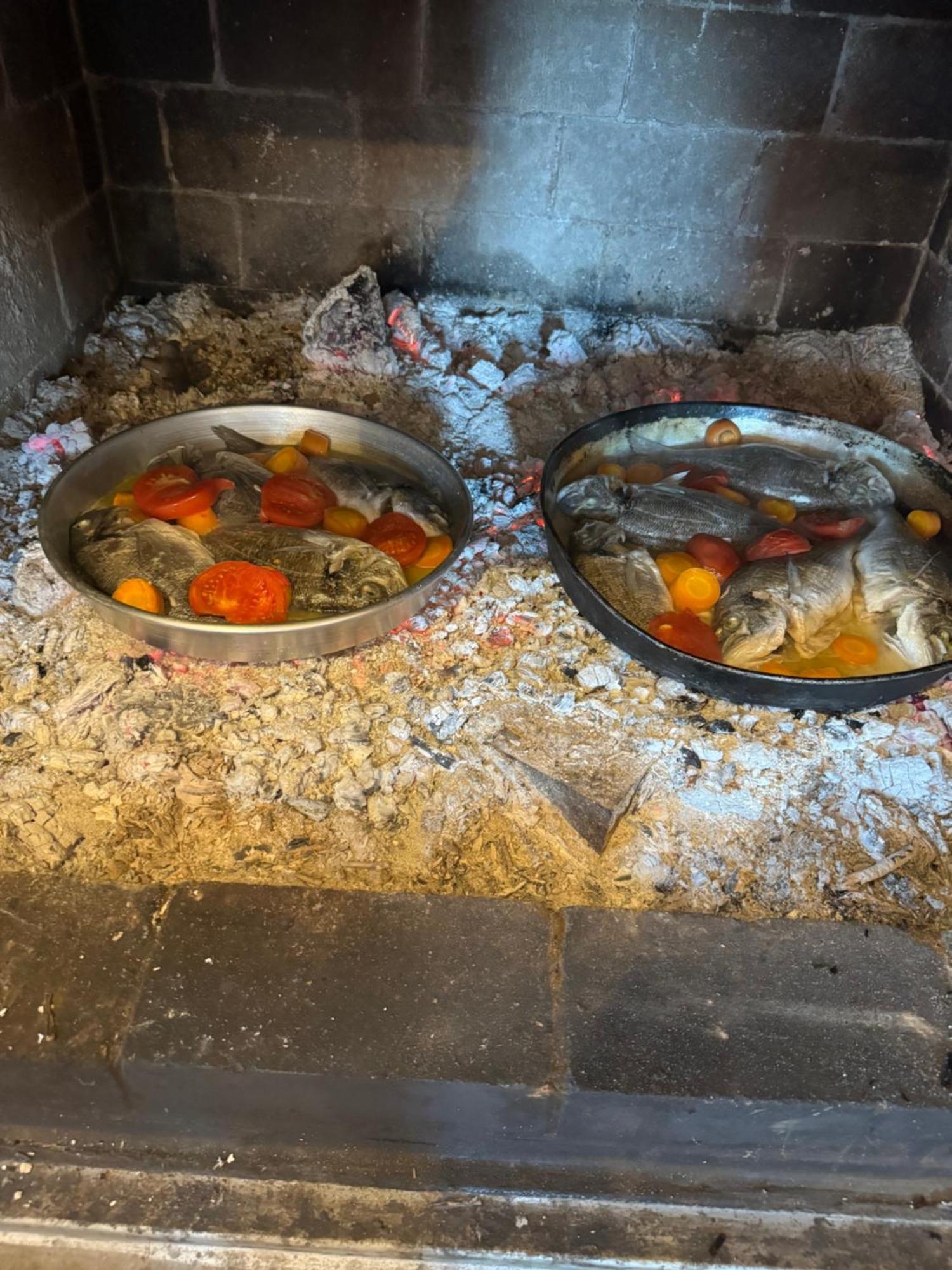 Qyteza Guest House & Camping Shkodër エクステリア 写真